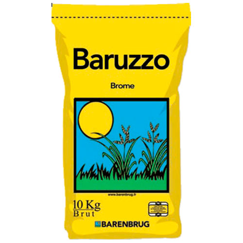  Baruzzo 